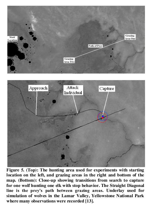 Figure 5:  Description of map and one on one hunt.