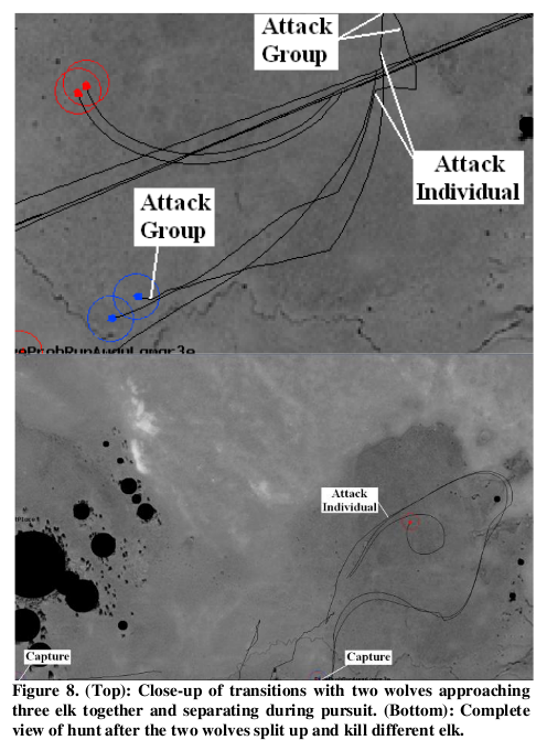 Figure 8:  Transitions for two on three hunt