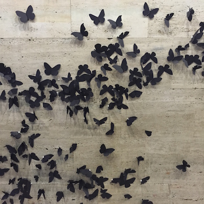 Butteflies at CCCB