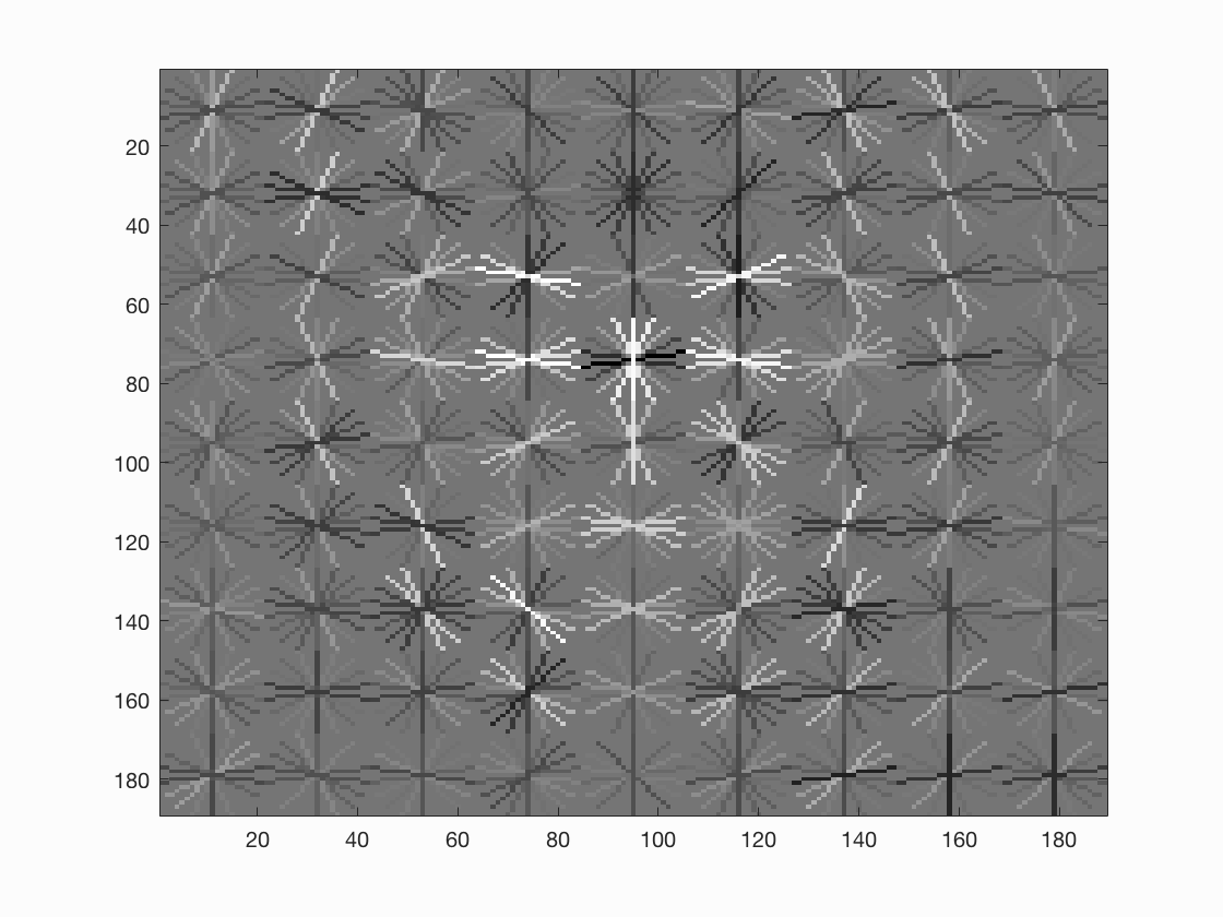 Hog Visualizer Face Detection Project