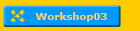 Workshop03