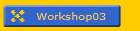 Workshop03