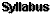 View entire syllabus