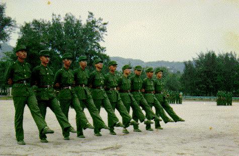 [Image of ZhengBuZou]