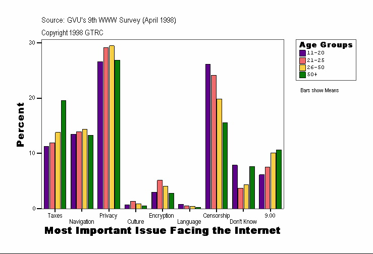 Most Important Issue Facing the Internet
