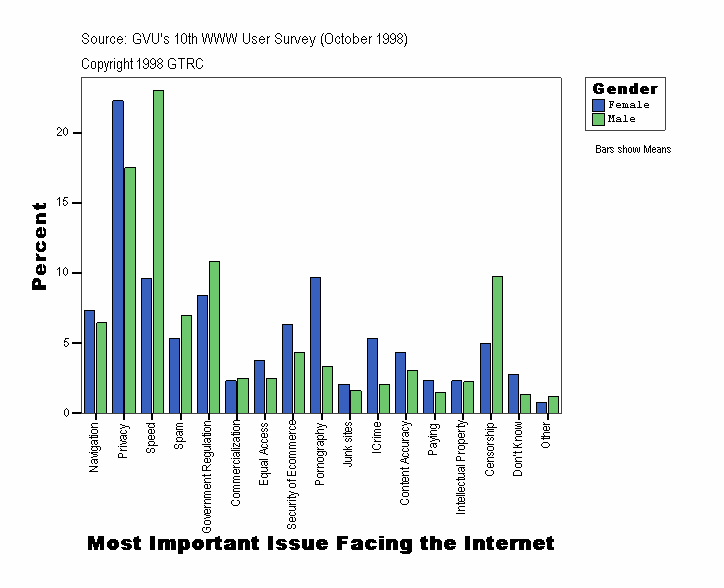 Most Important Issue Facing the Internet