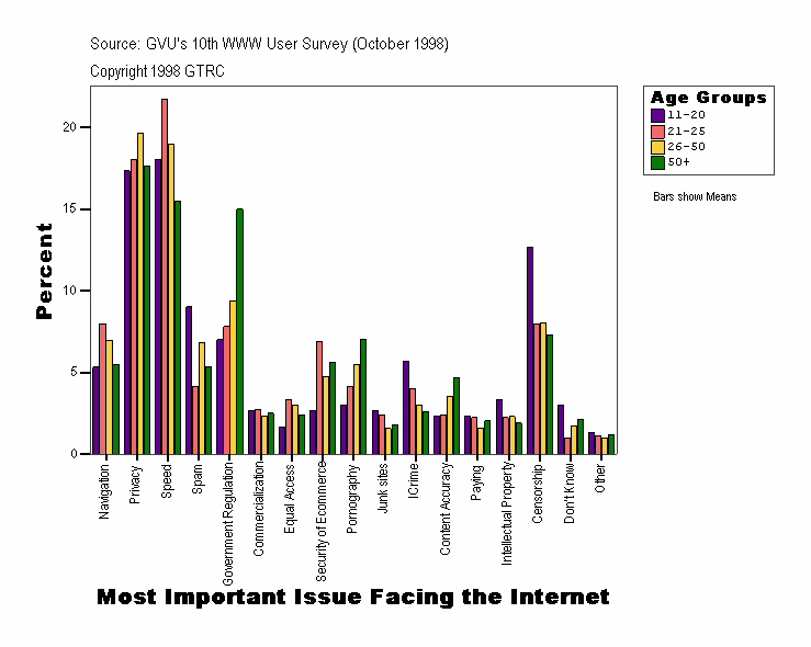 Most Important Issue Facing the Internet