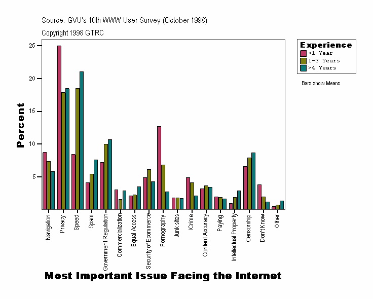 Most Important Issue Facing the Internet
