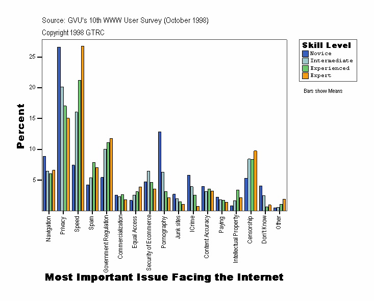Most Important Issue Facing the Internet
