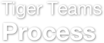 Tiger Teams
Process