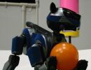 RoboCup